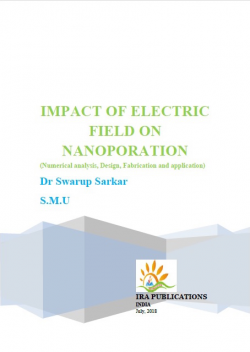 Impact of Electric Field on Nanoporation
