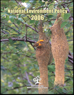 National Environment Policy (2006)